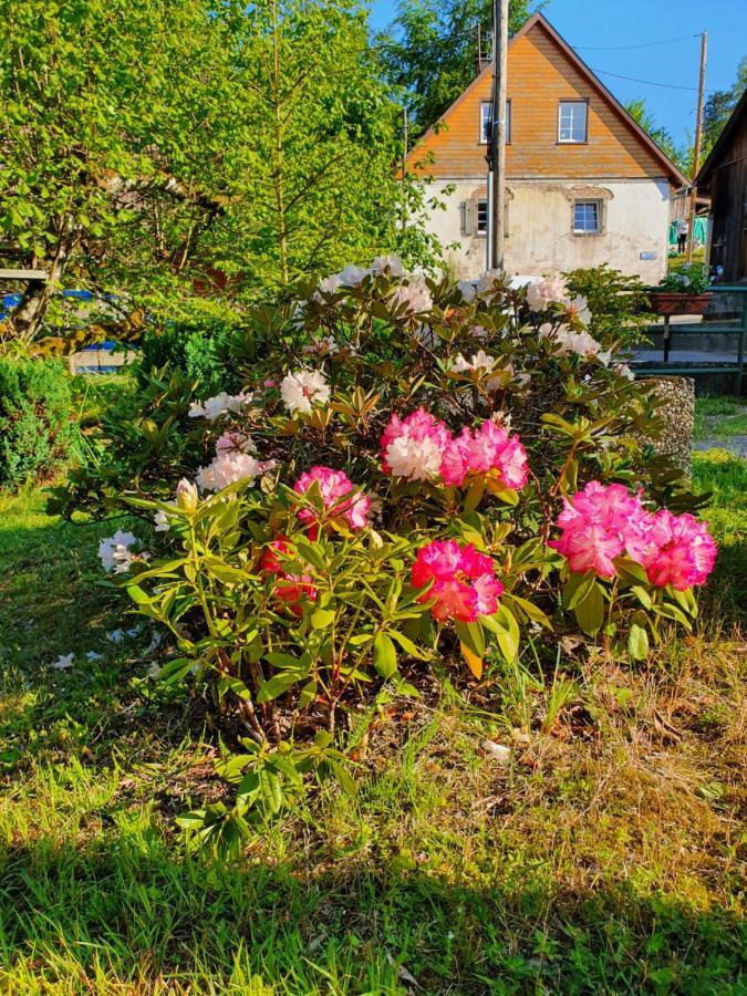 Locations Dupertuis Alsace Apartamento Hohwald Exterior foto