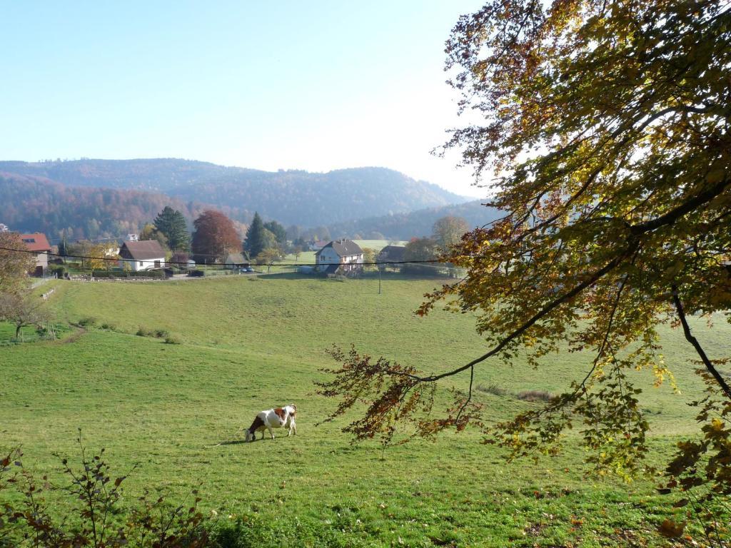 Locations Dupertuis Alsace Apartamento Hohwald Quarto foto