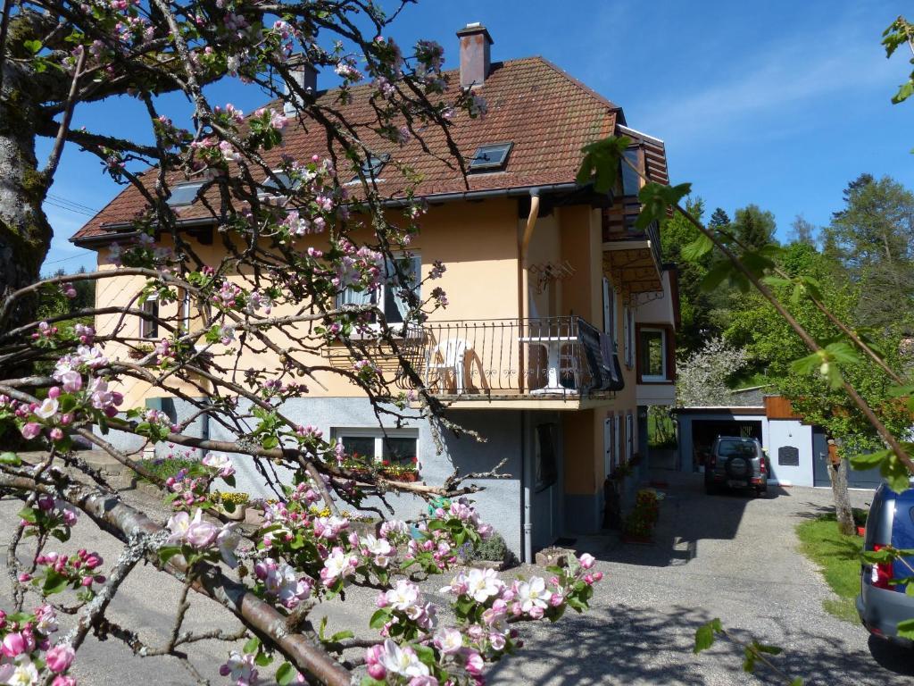 Locations Dupertuis Alsace Apartamento Hohwald Exterior foto