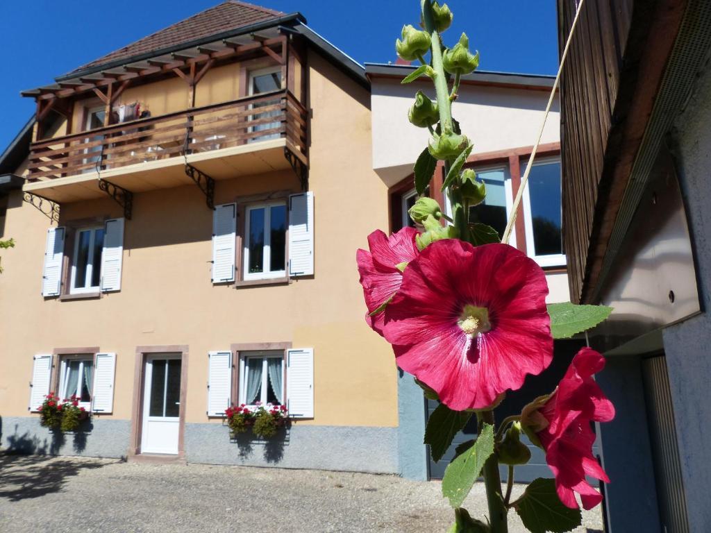 Locations Dupertuis Alsace Apartamento Hohwald Exterior foto